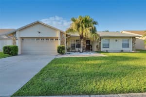 9724 Cypress Pond Ave, TAMPA