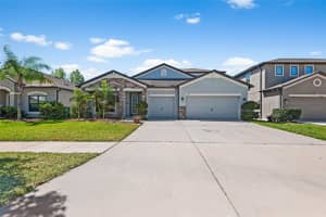 11421 Carlton Fields Dr, RIVERVIEW