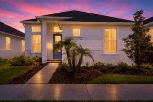 28761 Sweet Persimmon Dr, WESLEY CHAPEL 28761 Sweet Persimmon Dr, WESLEY CHAPEL