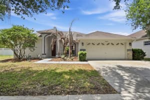 16825 Harrierridge Pl, LITHIA