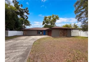 17621 Meadowbridge Dr, LUTZ 17621 Meadowbridge Dr, LUTZ