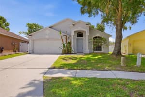 3049 Castle Rock Cir, LAND O LAKES