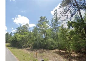 9164 N Gilbert Ter, DUNNELLON