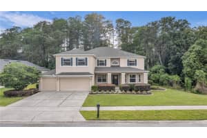 2640 Grove View Dr, WINTER GARDEN