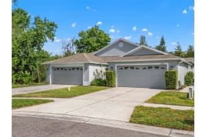 19233 Barred Owl Ct, LAND O LAKES