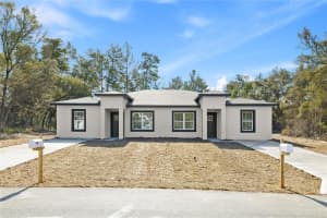 16054 Sw 29th Court Rd, OCALA
