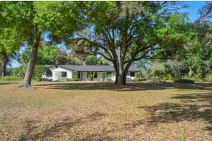 3636 Lake Buynak Rd, WINDERMERE 3636 Lake Buynak Rd, WINDERMERE
