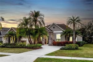 11909 Mandevilla Ct, TAMPA 11909 Mandevilla Ct, TAMPA