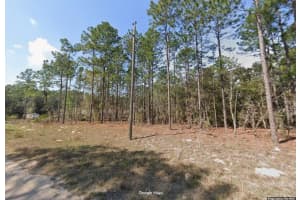 Sw 128th Terrace Rd, OCALA