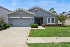 17660 Passionflower Cir, CLERMONT 17660 Passionflower Cir, CLERMONT