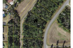 36th Avenue Road, OCALA