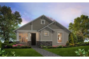 28741 Jujube Rd, WESLEY CHAPEL