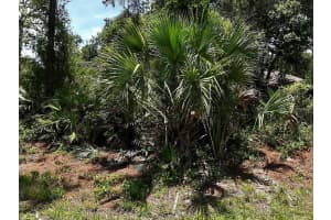 Van Eck Rd, NORTH PORT
