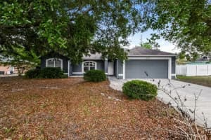 2823 Arbour Trail Ct, DELTONA