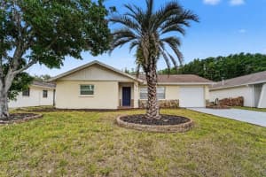 8332 Fishhawk Ave, NEW PORT RICHEY