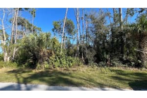 , PORT CHARLOTTE , PORT CHARLOTTE