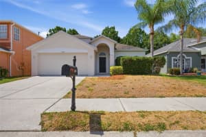 10653 Firebrick Ct, TRINITY 10653 Firebrick Ct, TRINITY