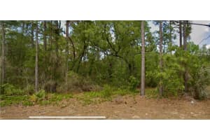 8550 N Citrus Springs Blvd, CITRUS SPRINGS