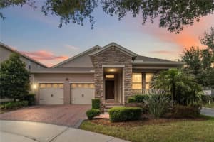 15518 Fountain Cove Ct, WINTER GARDEN