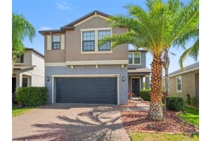 10025 Ivory Dr, SUN CITY CENTER 10025 Ivory Dr, SUN CITY CENTER