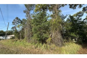 0 Olive Cir, OCALA