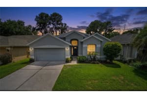 6 Pied Ct, ORLANDO 6 Pied Ct, ORLANDO