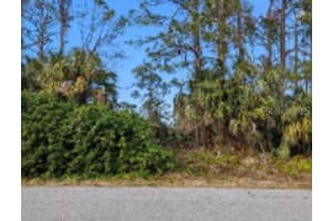 Longbow Ave, NORTH PORT
