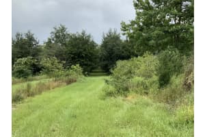 5079 Ondich Rd, APOPKA 5079 Ondich Rd, APOPKA
