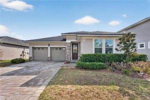 16466 Olive Hill Dr, WINTER GARDEN
