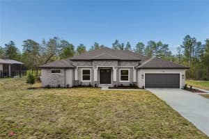 11248 Flock Ave, WEEKI WACHEE 11248 Flock Ave, WEEKI WACHEE