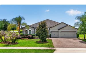 17614 Sailfin Dr, ORLANDO 17614 Sailfin Dr, ORLANDO
