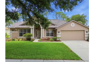 4941 Willow Ridge Ter, VALRICO 4941 Willow Ridge Ter, VALRICO