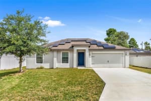 213 Fig Ct, KISSIMMEE 213 Fig Ct, KISSIMMEE