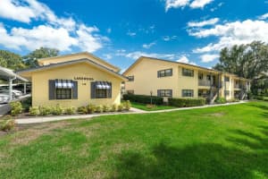 110 N Tremain St #209, MOUNT DORA