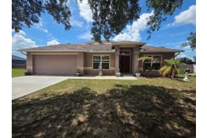 537 Hatchwood Dr, HAINES CITY