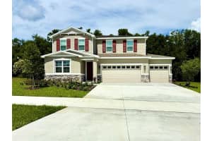 , MOUNT DORA , MOUNT DORA
