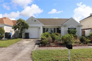 11012 Brightside Dr, TAMPA