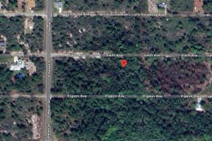 238 Swift Ave, SEBRING
