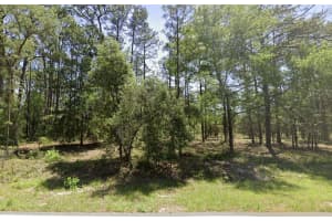 Nw Ridgewood Rd, DUNNELLON