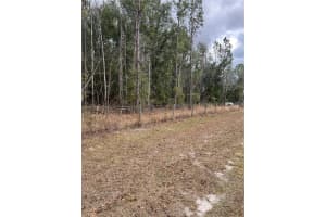 589 Sw Cumorah Hill St, FORT WHITE