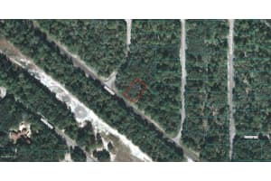 50 Locust Rd, OCALA