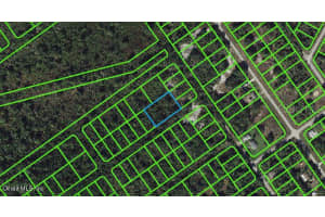 1234 Haviland St, LAKE PLACID