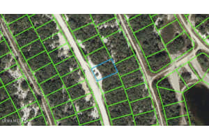 217 Hopedale Dr, LAKE PLACID
