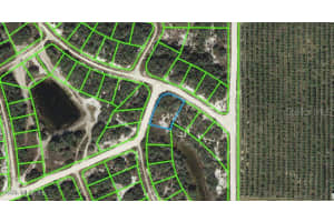 131 Danby Dr, LAKE PLACID