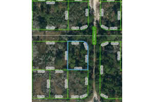 251 Tannery Ln, LAKE PLACID