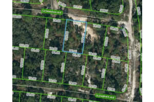337 Catamaran Ave, LAKE PLACID