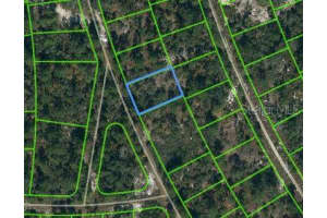 387 Blue Horizon Dr, LAKE PLACID