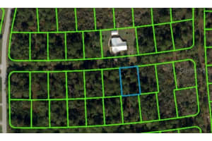 225 Caswell Ln, LAKE PLACID