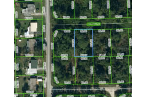 205 Colleen Ln, LAKE PLACID