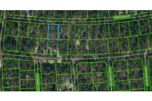 357 Paradise Ave, LAKE PLACID